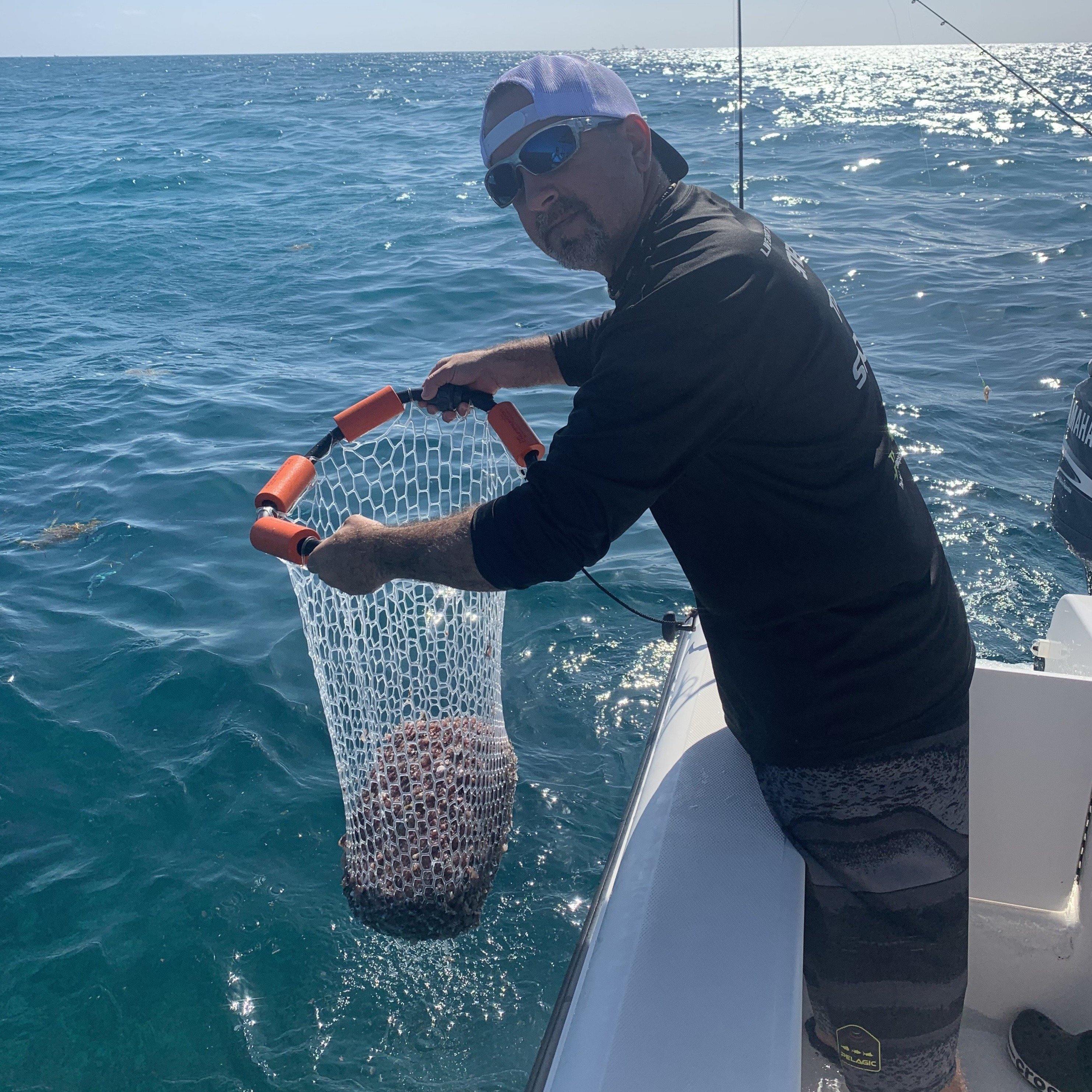 OpenFisherman.com