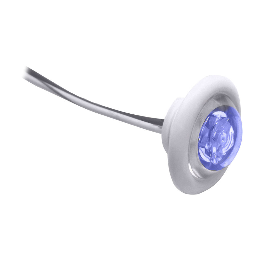 Innovative Lighting LED Bulkhead/Livewell Light "The Shortie" Blue LED w/ White Grommet [011-2540-7]